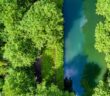 Die Radwanderung Rhone-Basel führt uns durch das wunderbare Elsass mit seinen Fachwerkhäusern und seiner herrlichen Landschaft.