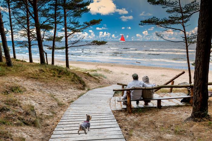 Ostseestrand ist Hundeland. (Foto: shutterstock - Sergei25)