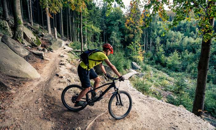 Die Trails im Naturpark Hessischer Spessart profitieren vor allem vom Lehmboden, der sich perfekt für das Mountainbiken eignet. ( Foto: Adobe Stock - blas)