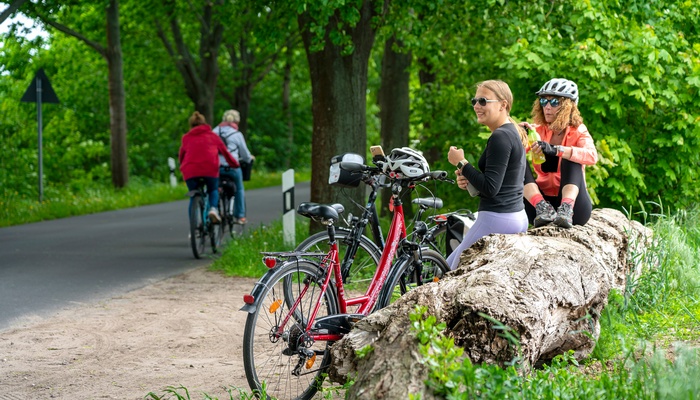 Längere Fahrradtouren sollte man durch Pausen unterbrechen. So kann man die Zeit genießen und sich auch über die kleinen Entdeckungen links und rechts des Weges austauschen. Und nach der Pause geht es entspannt weiter. (Foto: AdobeStock - spuno 444774382)