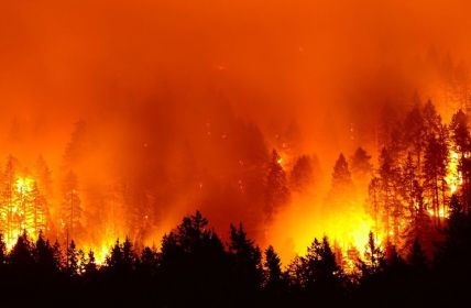 Waldbrände in Deutschland nehmen zu: Vorbereitungen (Foto: AdobeStock - Kirk Atkinson 180656803)